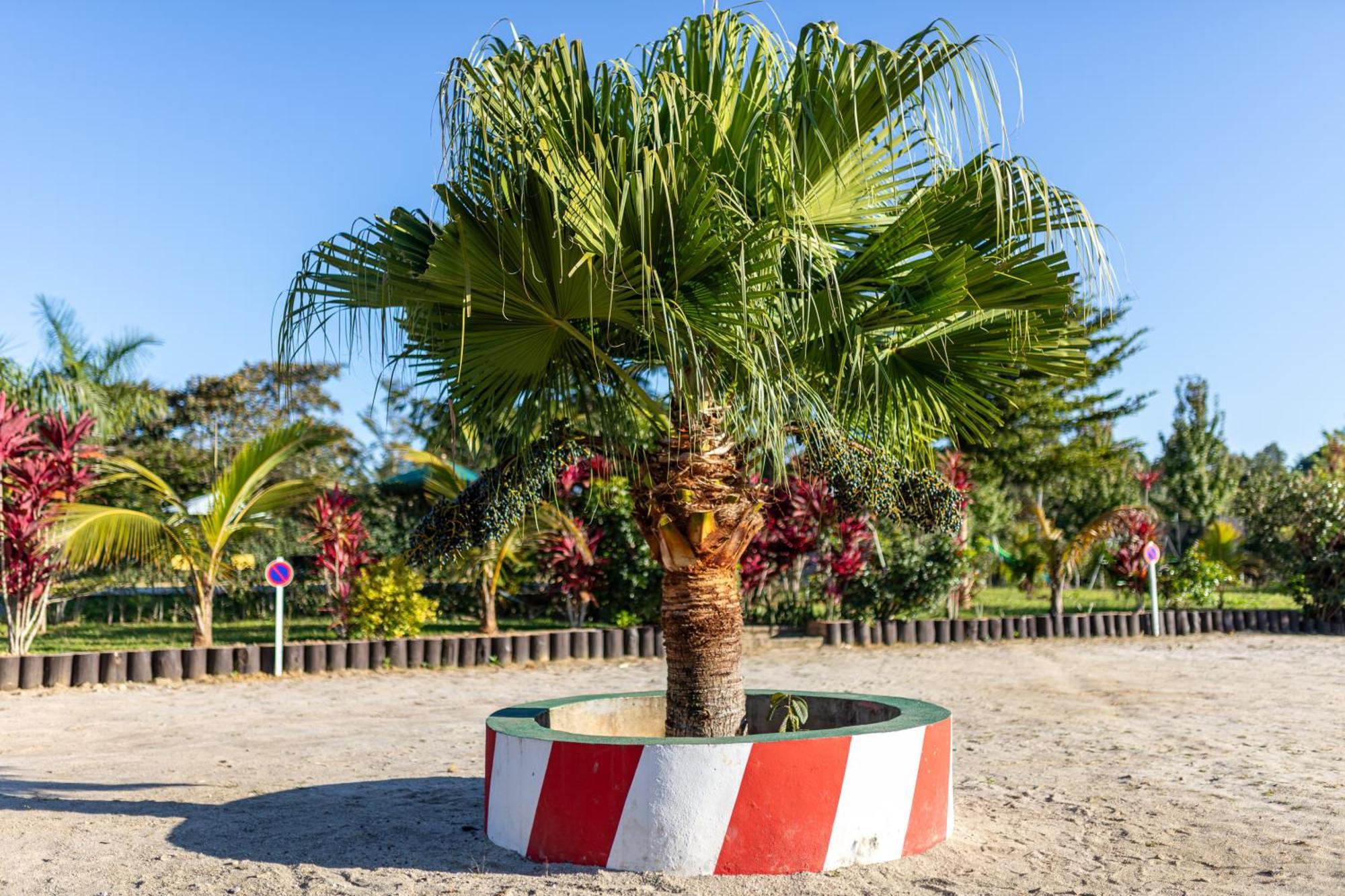 Andasibe Lemurs Lodge Kültér fotó